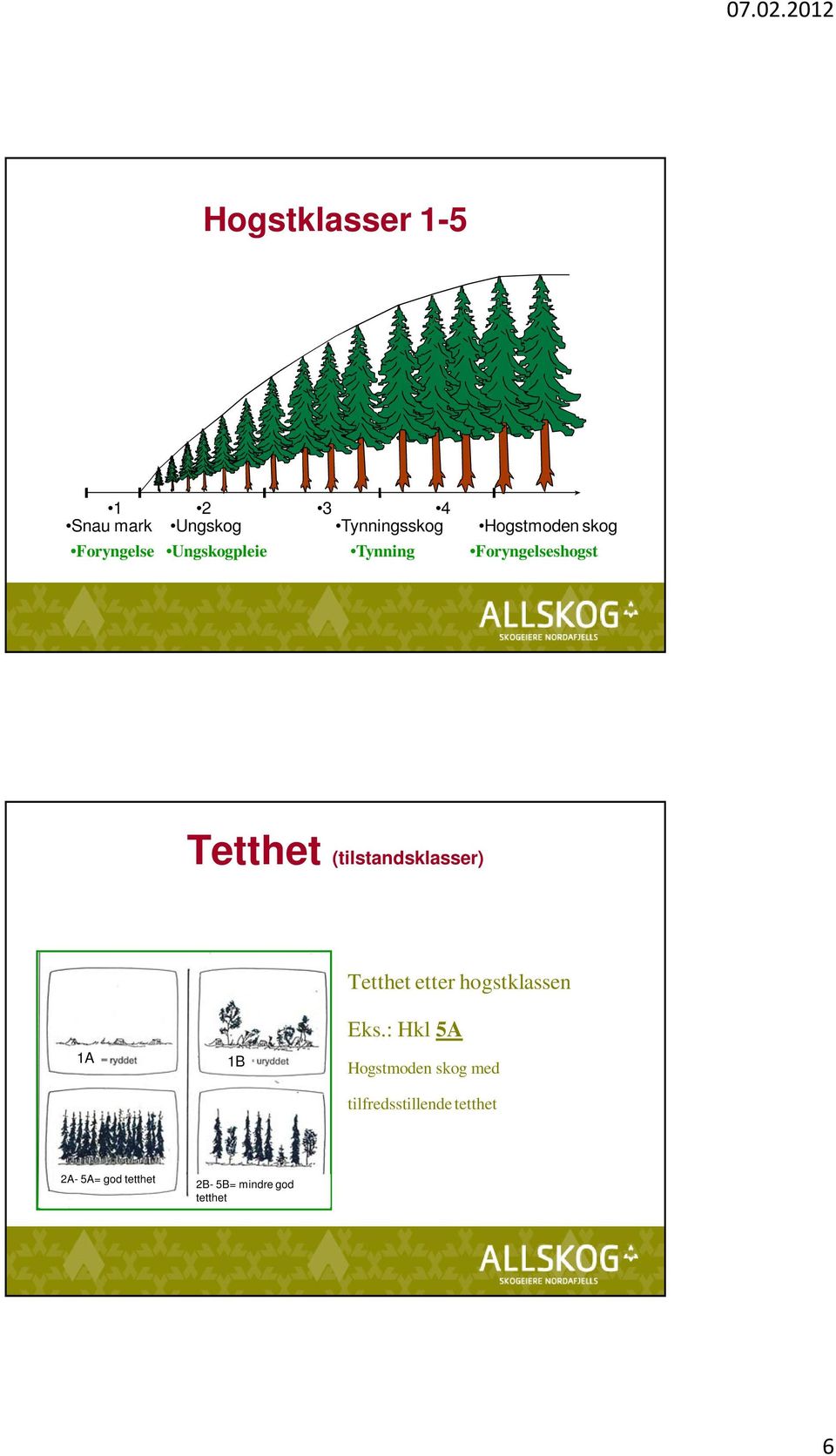 (tilstandsklasser) Tetthet etter hogstklassen 1A 1B Eks.