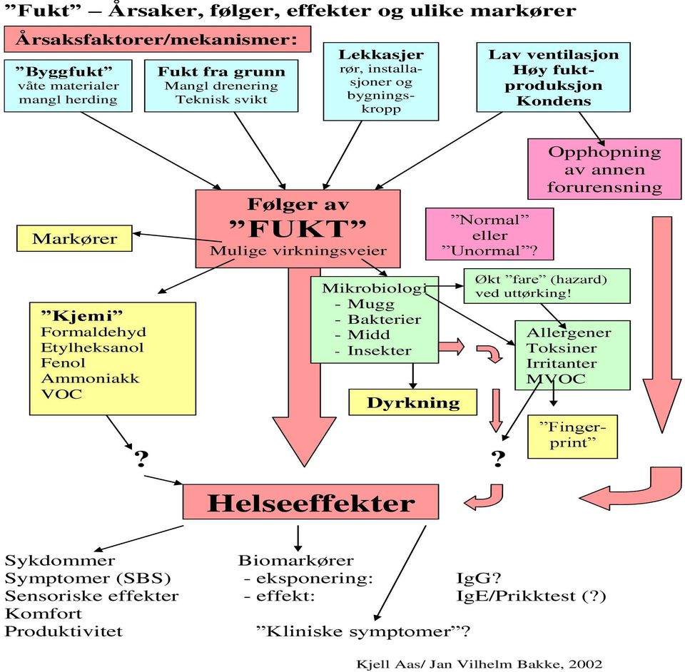 Opphopning av annen forurensning Kjemi Formaldehyd Etylheksanol Fenol Ammoniakk VOC Mikrobiologi - Mugg - Bakterier - Midd - Insekter Dyrkning?