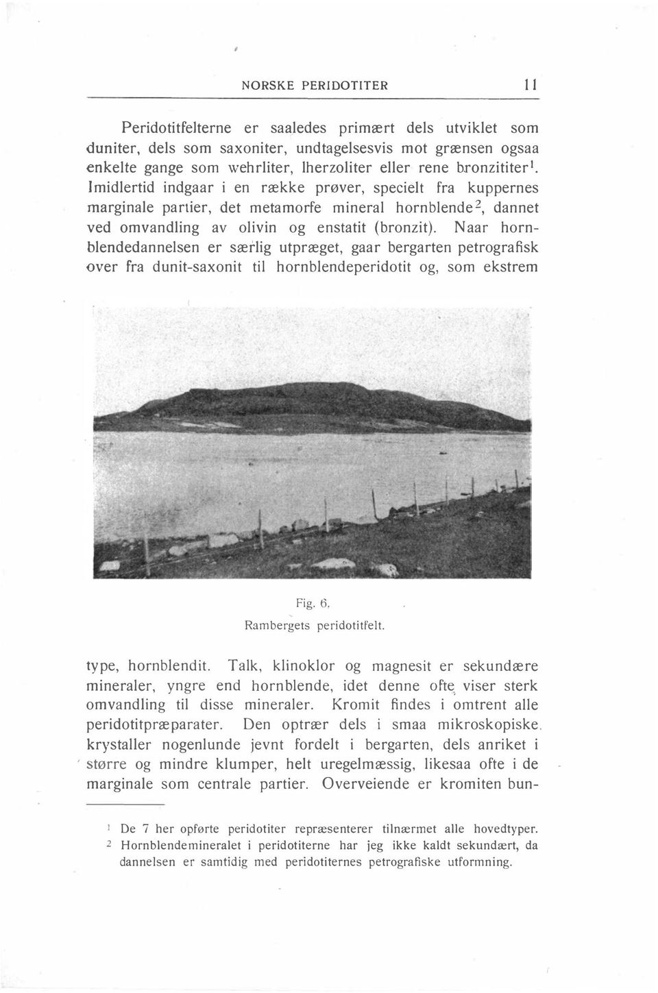 Naar hornblendedannelsen er særlig utpræget, gaar bergarten petrografisk over fra dunit-saxonit til hornblendeperidotit og, som ekstrem Fig. 6. Rambergets peridotitfelt. type, hornblendit.