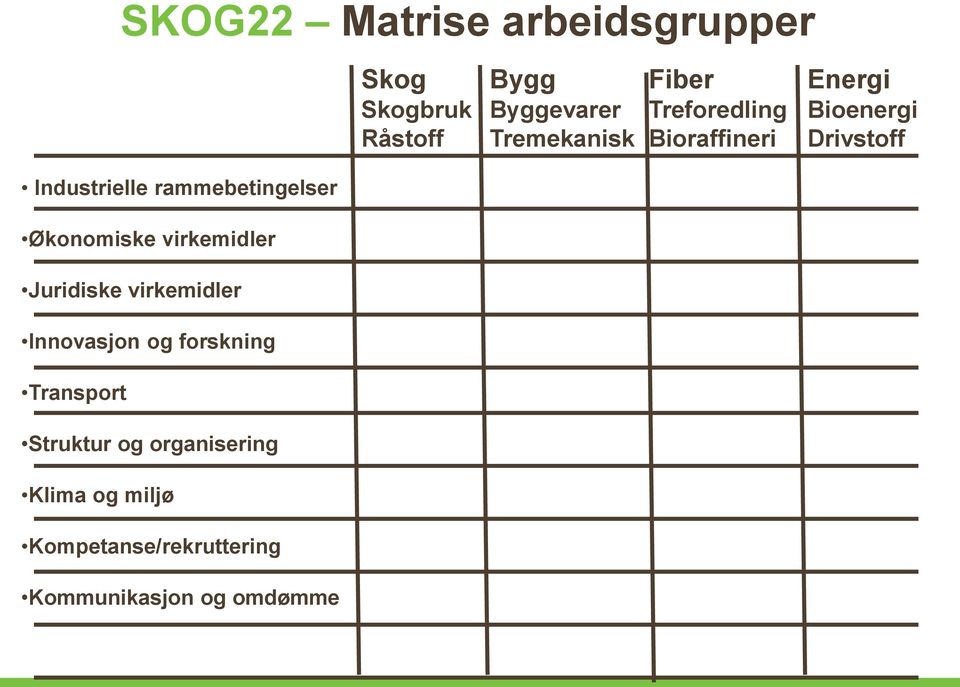 Matrise arbeidsgrupper Kompetanse/rekruttering Kommunikasjon og omdømme Skog