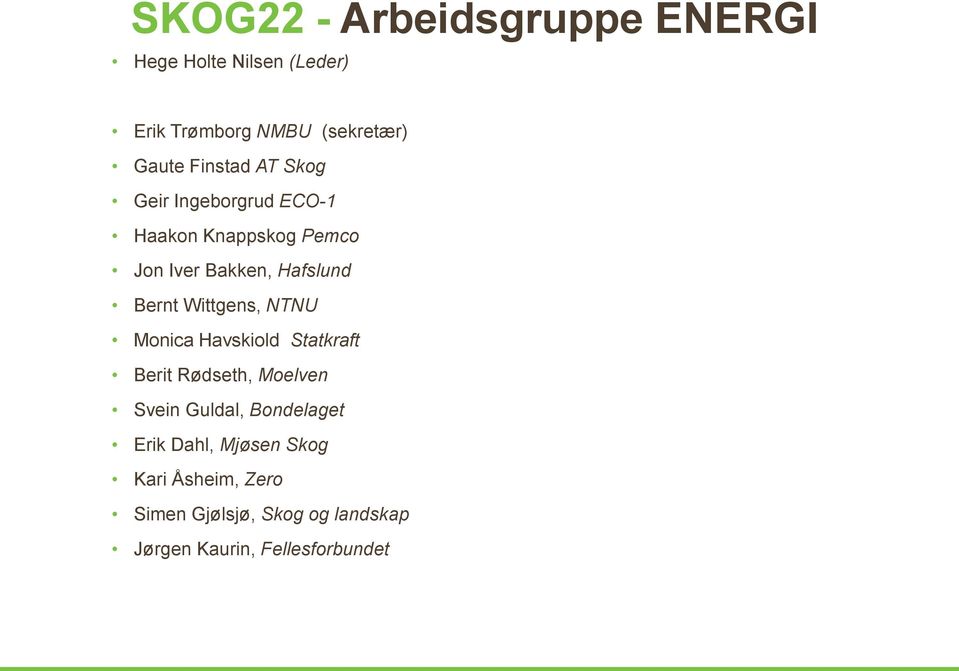 Wittgens, NTNU Monica Havskiold Statkraft Berit Rødseth, Moelven Svein Guldal, Bondelaget Erik