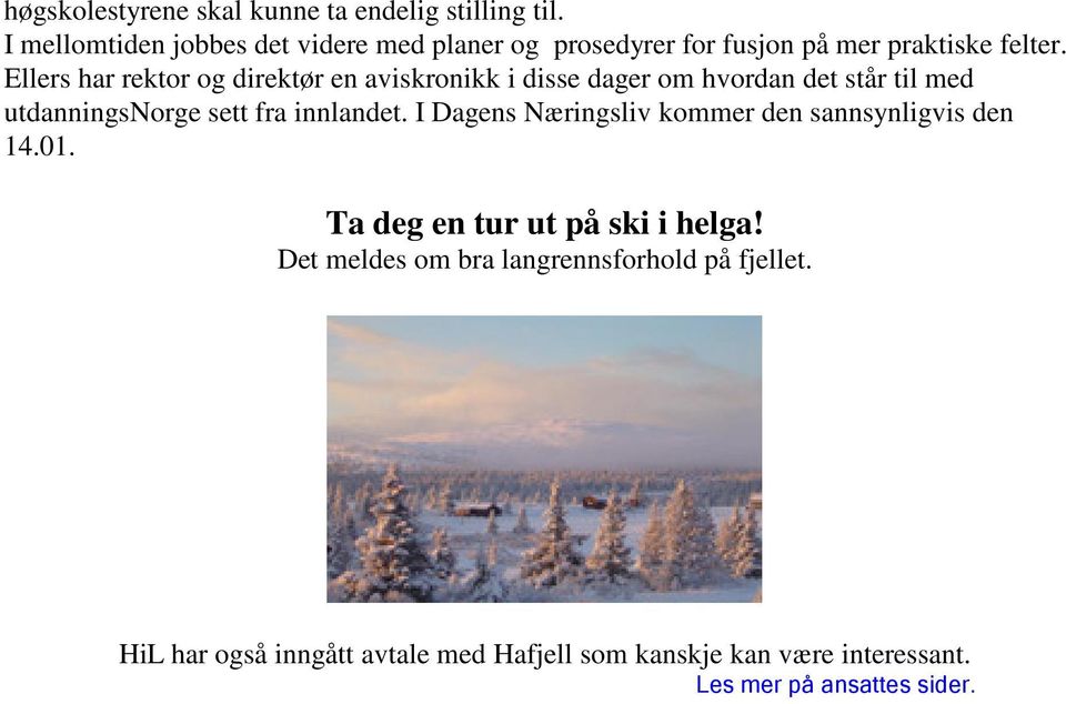 sett fra innlandet I Dagens Næringsliv kommer den sannsynligvis den 1401 Ta deg en tur ut på ski i helga!