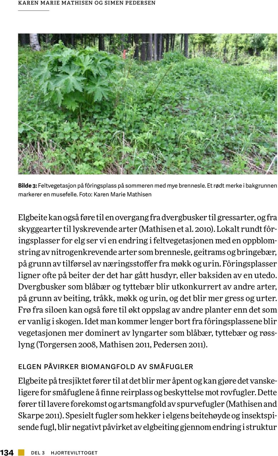 Lokalt rundt fôringsplasser for elg ser vi en endring i feltvegetasjonen med en oppblomstring av nitrogenkrevende arter som brennesle, geitrams og bringebær, på grunn av tilførsel av næringsstoffer