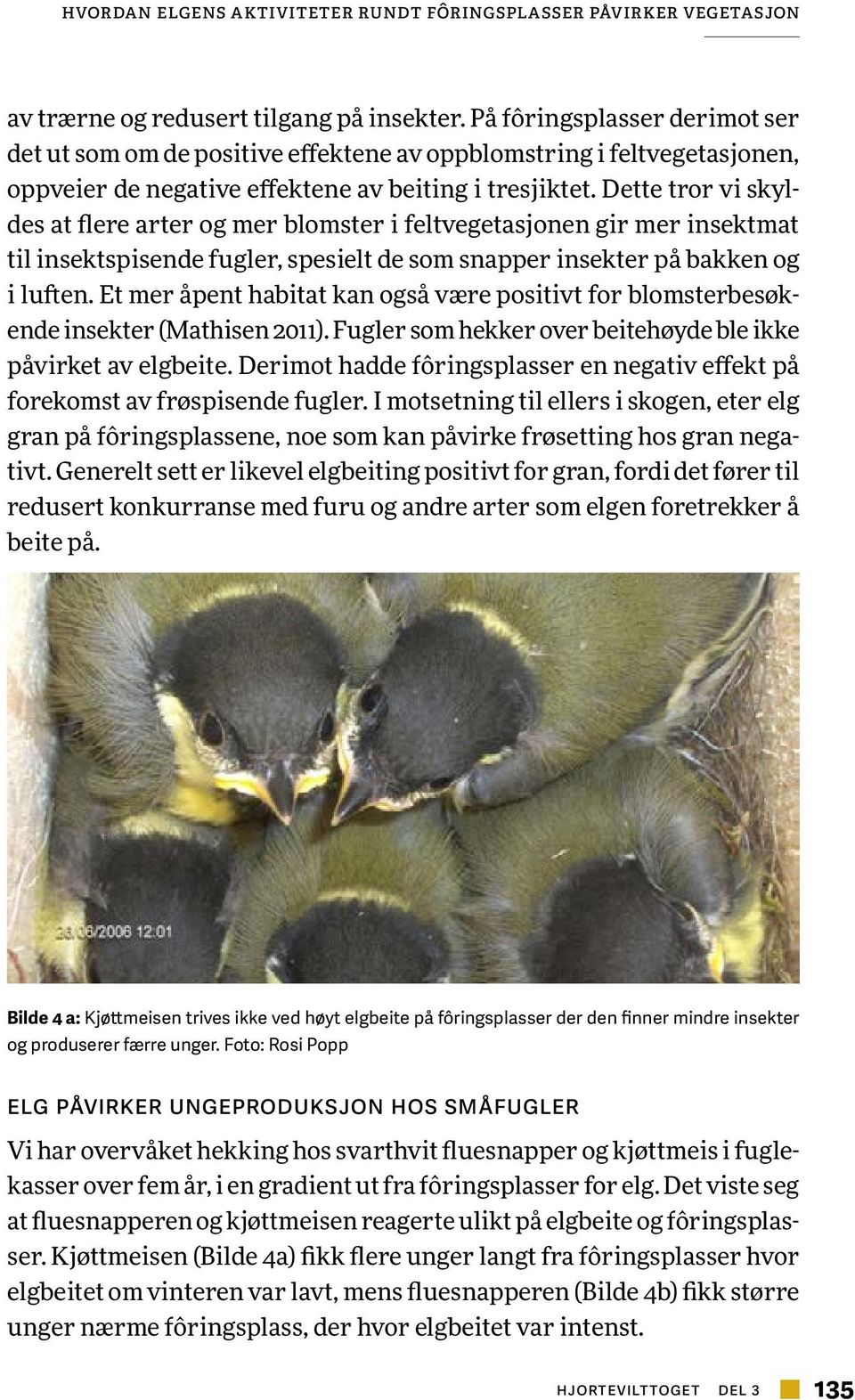 Dette tror vi skyldes at flere arter og mer blomster i feltvegetasjonen gir mer insektmat til insektspisende fugler, spesielt de som snapper insekter på bakken og i luften.