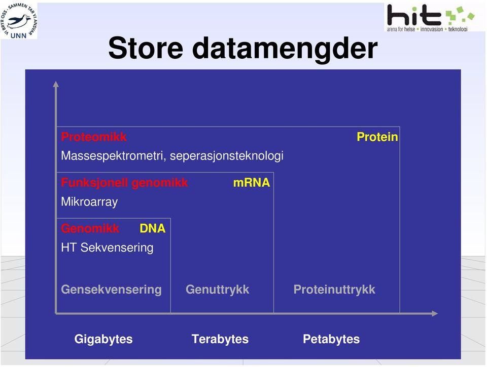 Mikroarray mrna Genomikk DNA HT Sekvensering