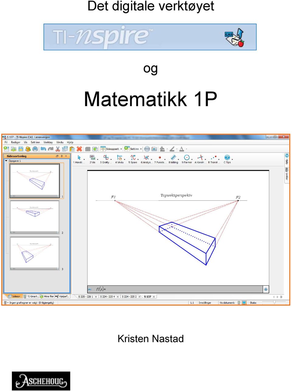 Matematikk 1P