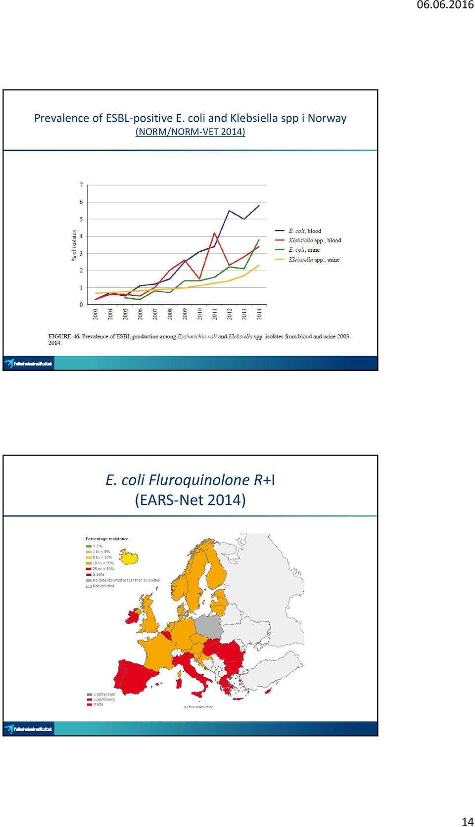 (NORM/NORM VET 2014) E.