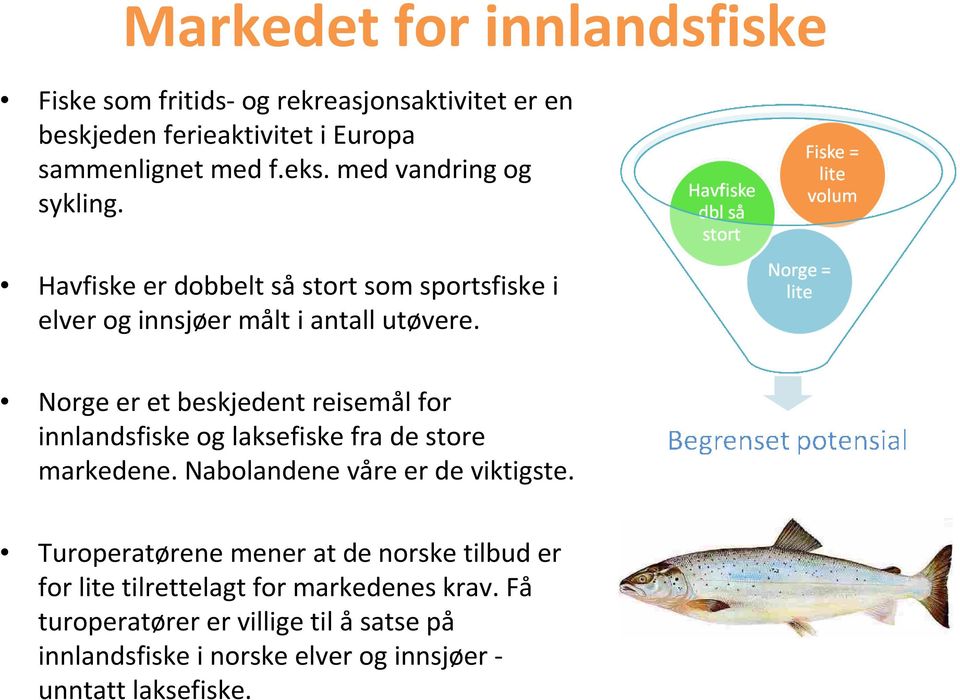 Norge er et beskjedent reisemål for innlandsfiske og laksefiske fra de store markedene. Nabolandene våre er de viktigste.