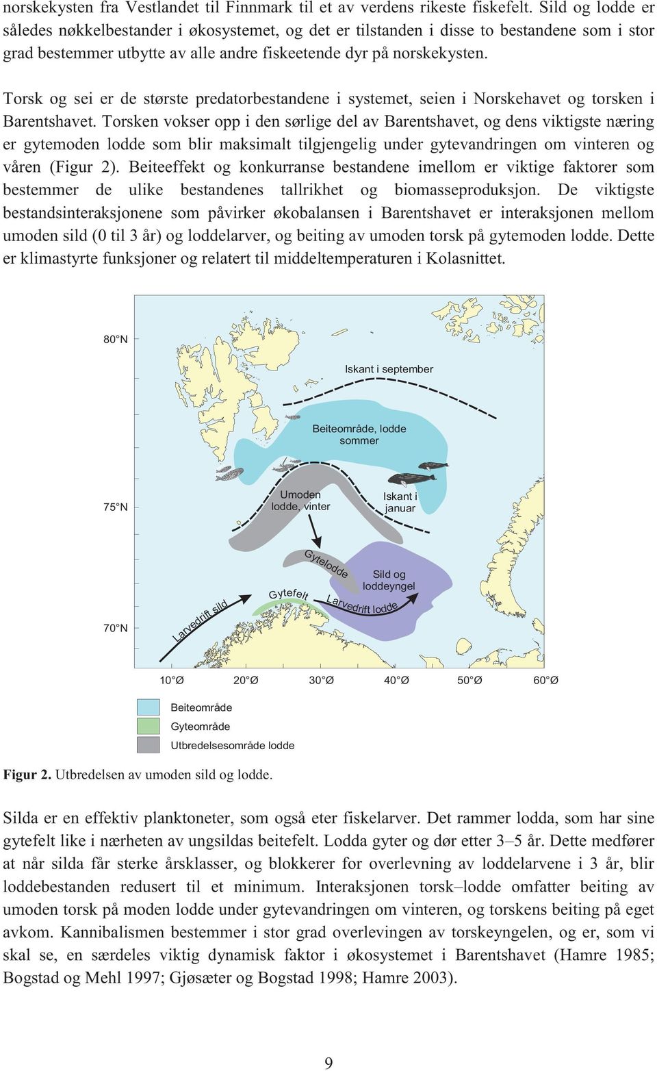 Torsk og sei er de største predatorbestandene i systemet, seien i Norskehavet og torsken i Barentshavet.