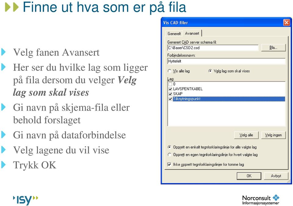 som skal vises Gi navn på skjema-fila eller behold