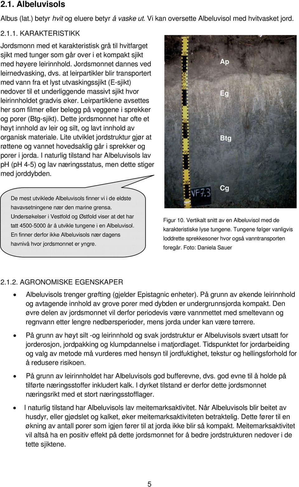 at leirpartikler blir transportert med vann fra et lyst utvaskingssjikt (E-sjikt) nedover til et underliggende massivt sjikt hvor leirinnholdet gradvis øker.