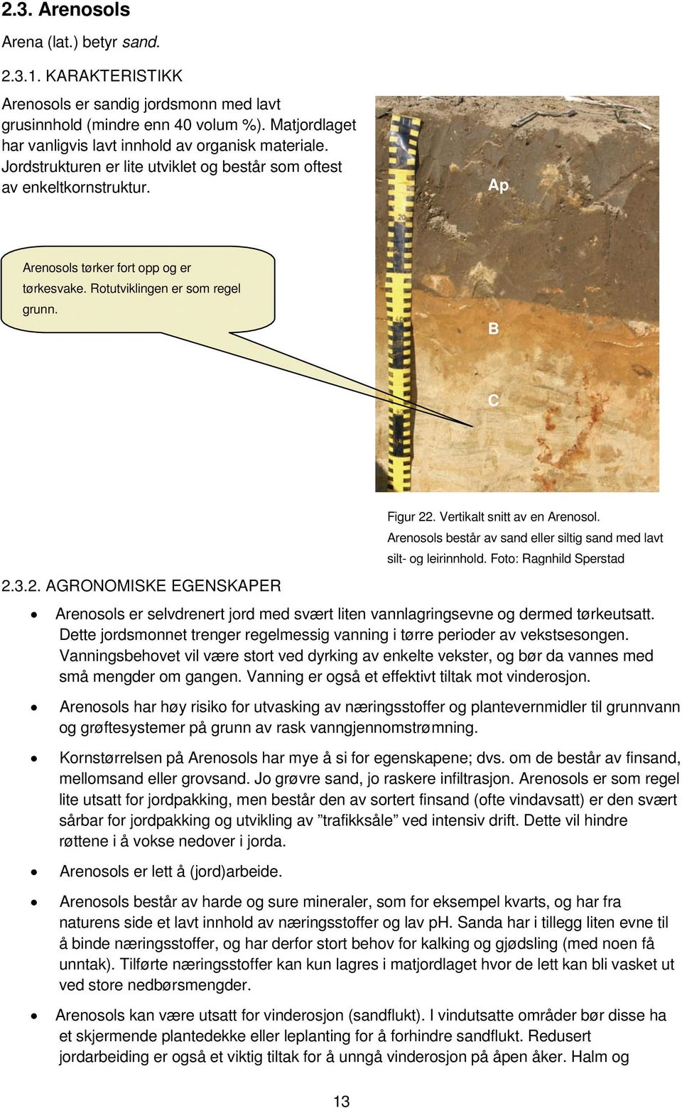 3.2. AGRONOMISKE EGENSKAPER Arenosols er selvdrenert jord med svært liten vannlagringsevne og dermed tørkeutsatt. Dette jordsmonnet trenger regelmessig vanning i tørre perioder av vekstsesongen.