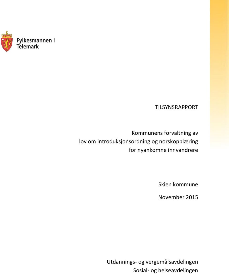 nyankomne innvandrere Skien kommune November 2015