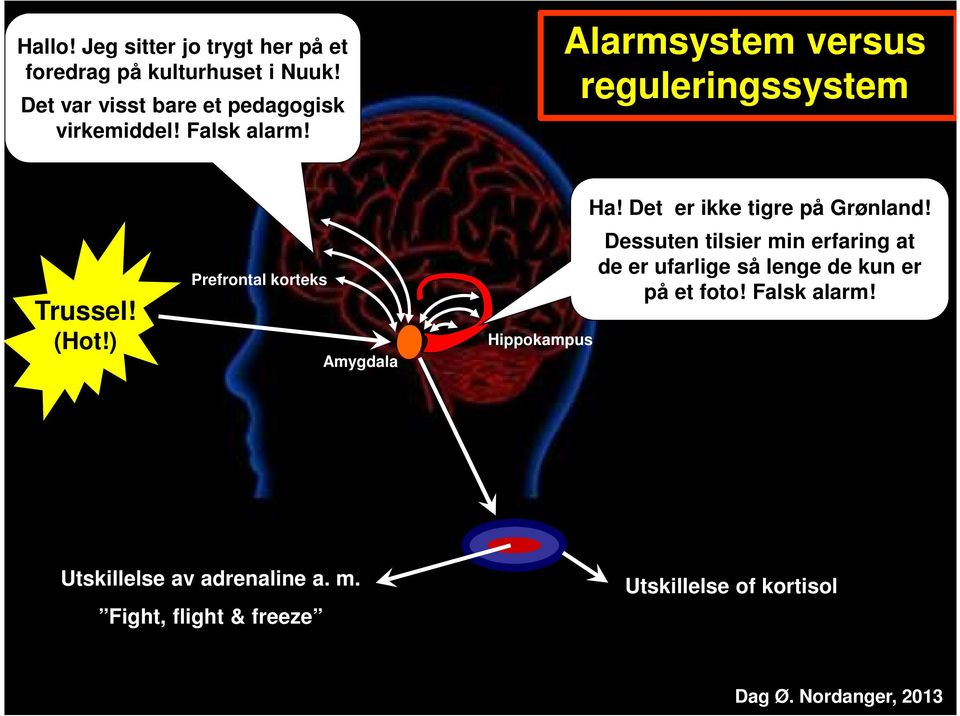 ) Prefrontal korteks Amygdala Hippokampus Ha! Det er ikke tigre på Grønland!