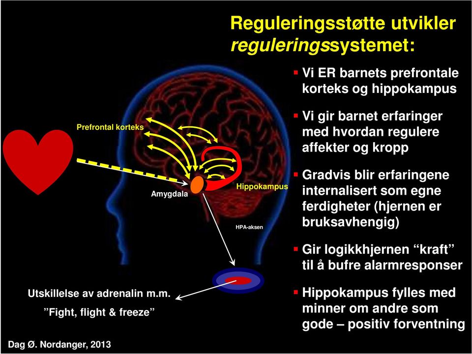 Nordanger, 2013 Hippokampus HPA-aksen Gradvis blir erfaringene internalisert som egne ferdigheter (hjernen er