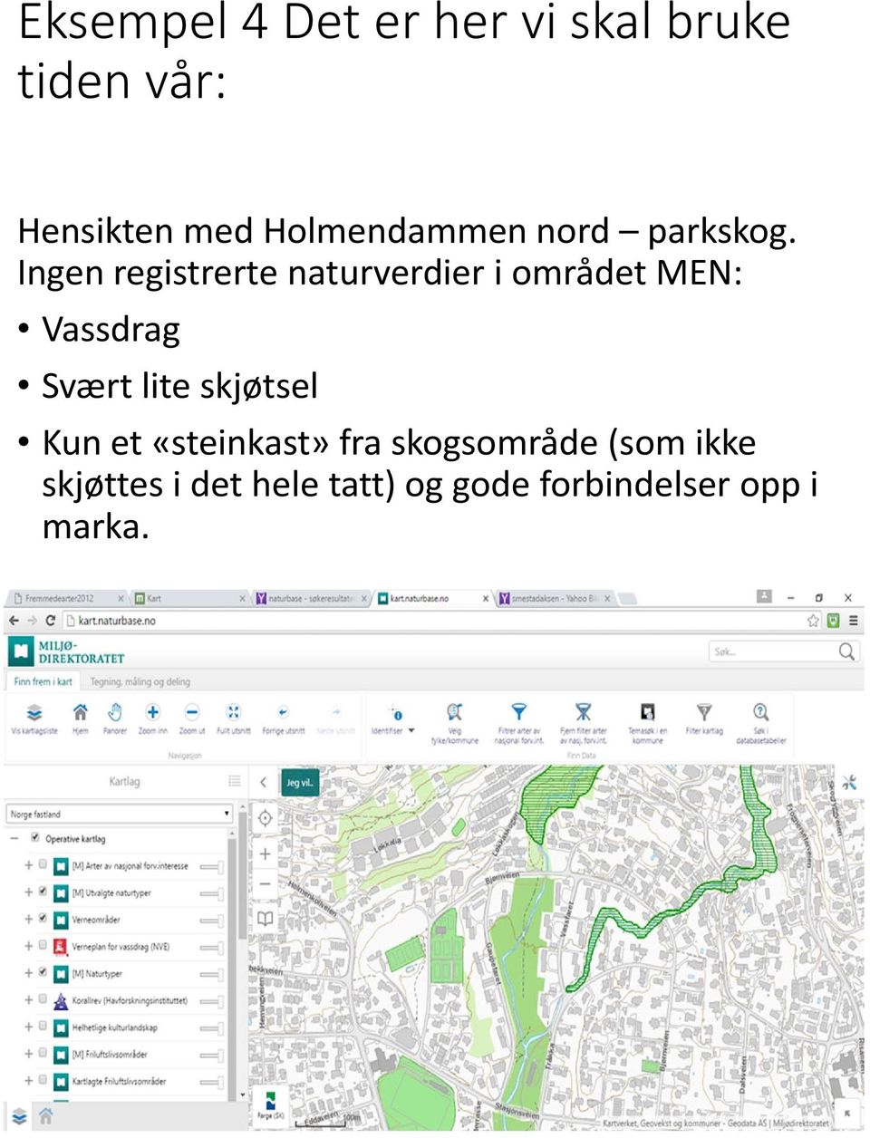 Ingen registrerte naturverdier i området MEN: Vassdrag Svært lite