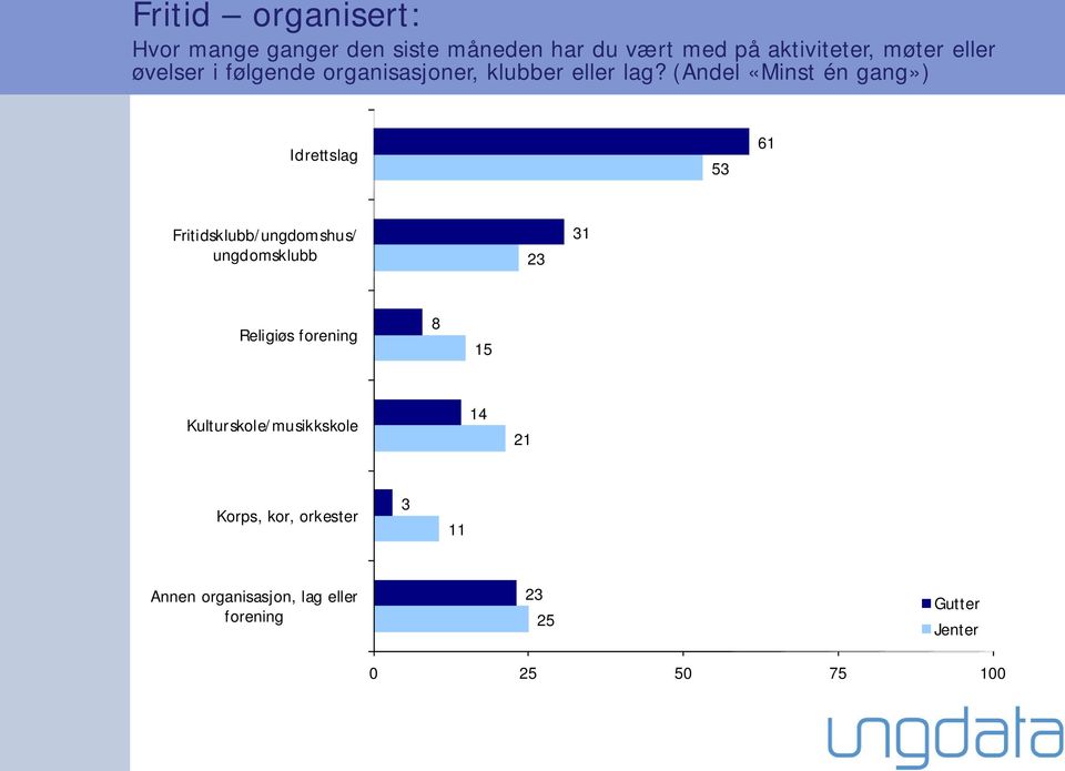 (Andel «Minst én gang») Idrettslag 53 61 Fritidsklubb/ungdomshus/ ungdomsklubb 23 31