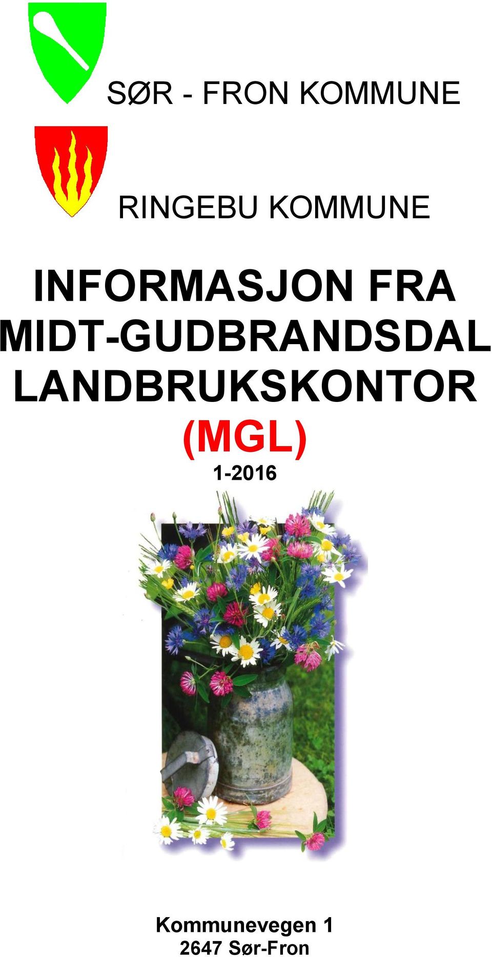 MIDT-GUDBRANDSDAL