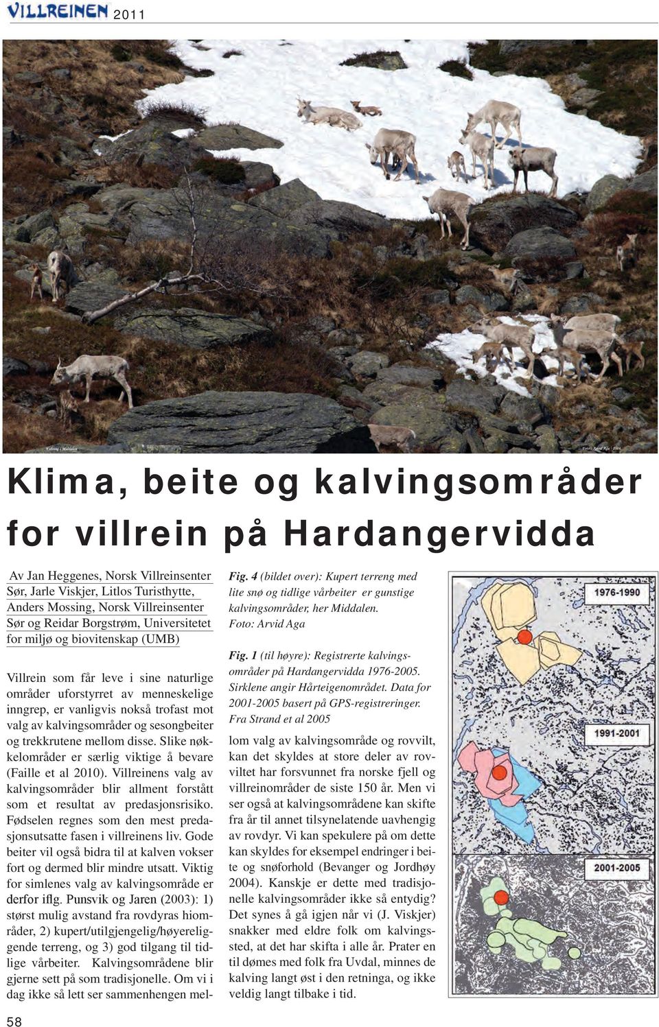 1 (til høyre): Registrerte kalvingsområder på Hardangervidda 1976-2005. Sirklene angir Hårteigenområdet. Data for 2001-2005 basert på GPS-registreringer.