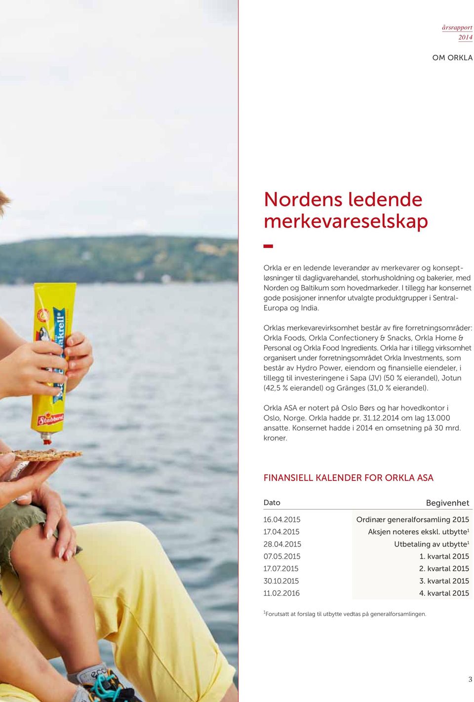 Orklas merkevarevirksomhet består av fire forretningsområder: Orkla Foods, Orkla Confectionery & Snacks, Orkla Home & Personal og Orkla Food Ingredients.