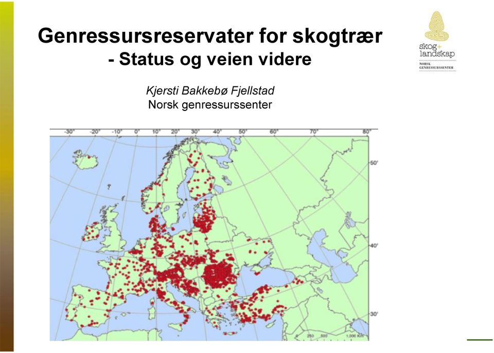 videre Kjersti Bakkebø