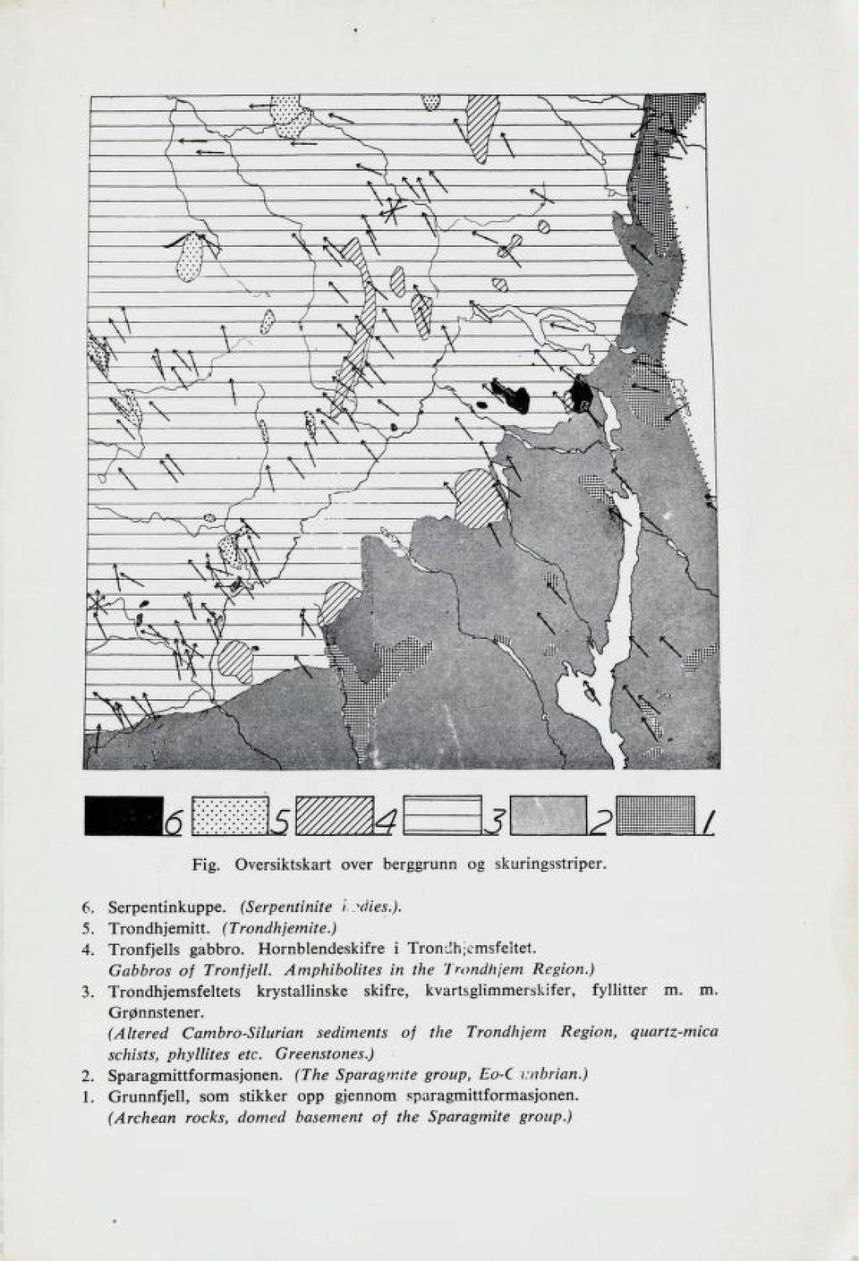 Trondhjemsfeltets krystallinske skifre, kvartsglimmerskifer, fyllitter m. m. Grønnstener.