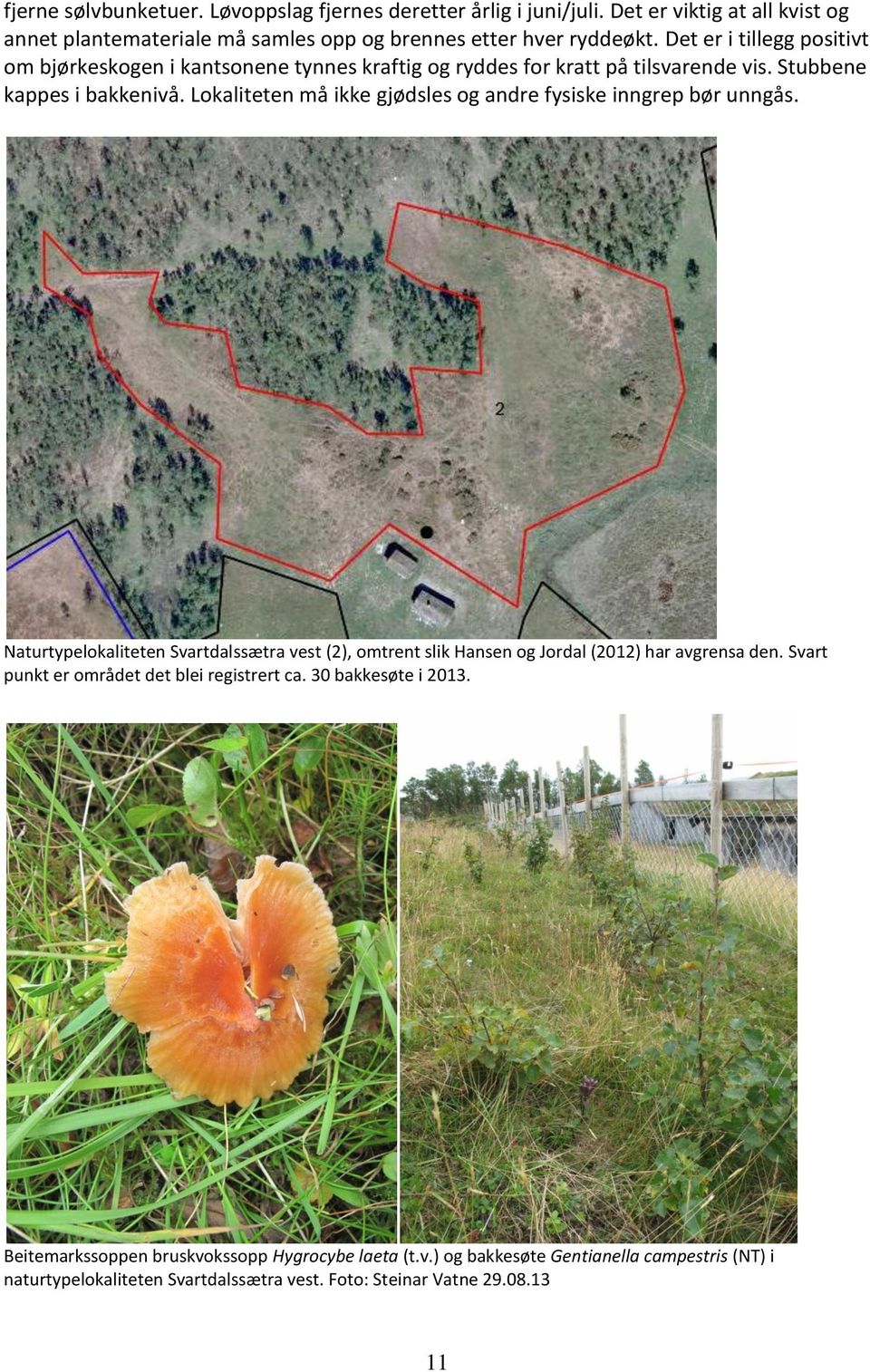 Lokaliteten må ikke gjødsles og andre fysiske inngrep bør unngås. Naturtypelokaliteten Svartdalssætra vest (2), omtrent slik Hansen og Jordal (2012) har avgrensa den.