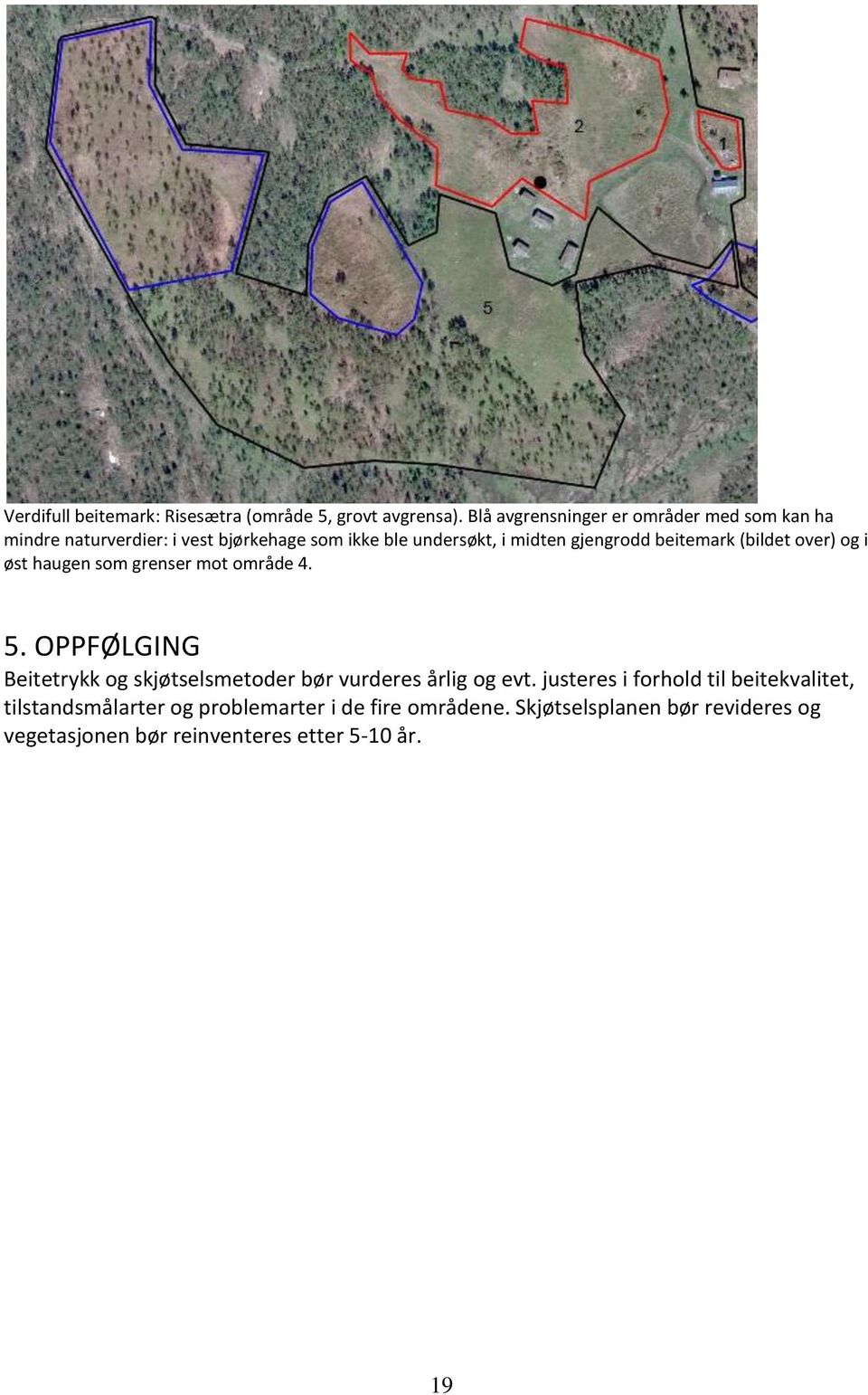 gjengrodd beitemark (bildet over) og i øst haugen som grenser mot område 4. 5.