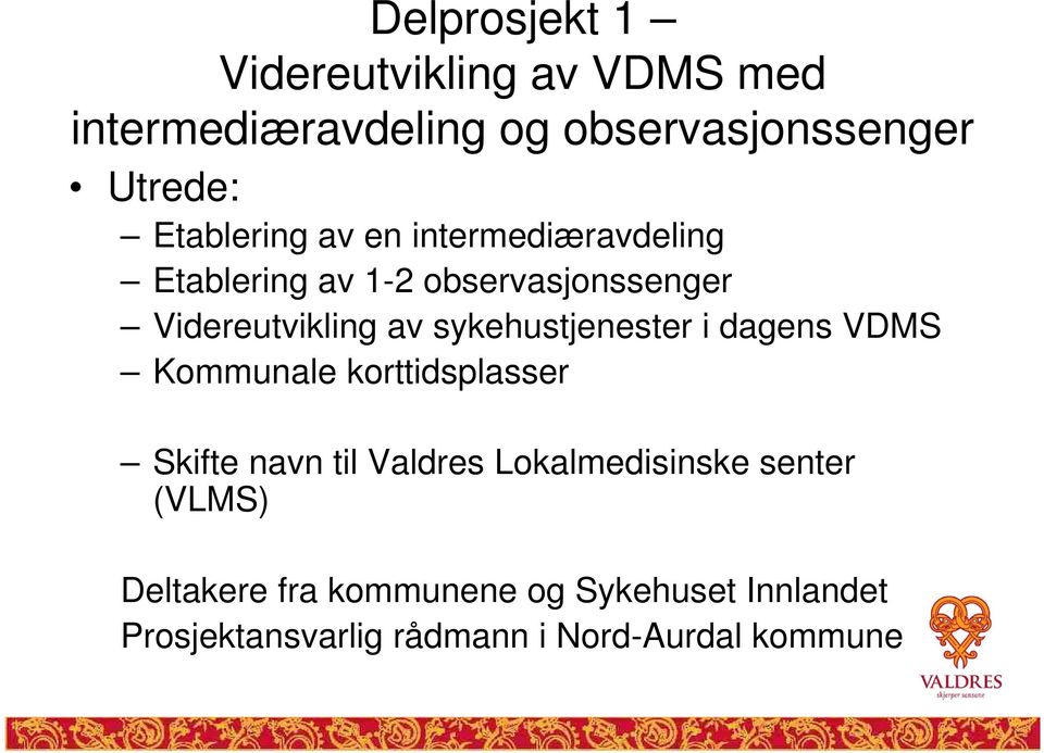 sykehustjenester i dagens VDMS Kommunale korttidsplasser Skifte navn til Valdres Lokalmedisinske