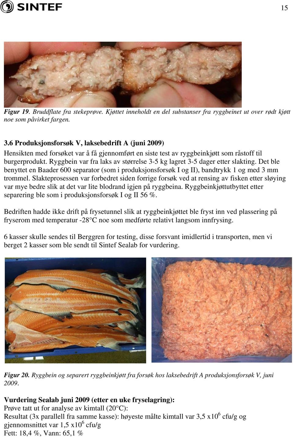 Ryggbein var fra laks av størrelse 3-5 kg lagret 3-5 dager etter slakting. Det ble benyttet en Baader 600 separator (som i produksjonsforsøk I og II), bandtrykk 1 og med 3 mm trommel.