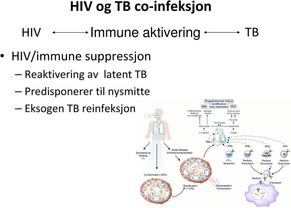 Reaktivering av latent TB