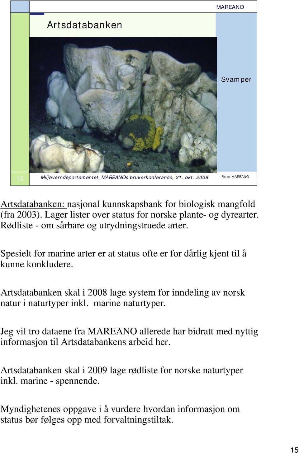 Artsdatabanken skal i 2008 lage system for inndeling av norsk natur i naturtyper inkl. marine naturtyper.