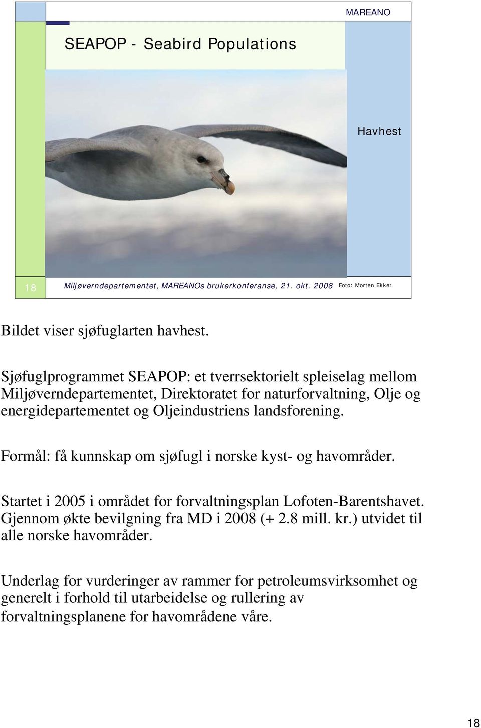 Oljeindustriens landsforening. Formål: få kunnskap om sjøfugl i norske kyst- og havområder. Startet i 2005 i området for forvaltningsplan Lofoten-Barentshavet.