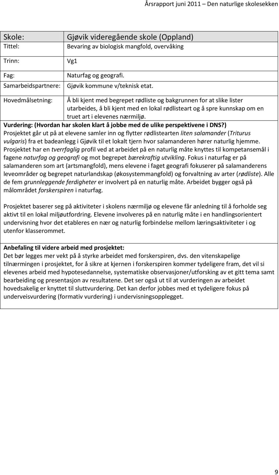 Vurdering: (Hvordan har skolen klart å jobbe med de ulike perspektivene i DNS?