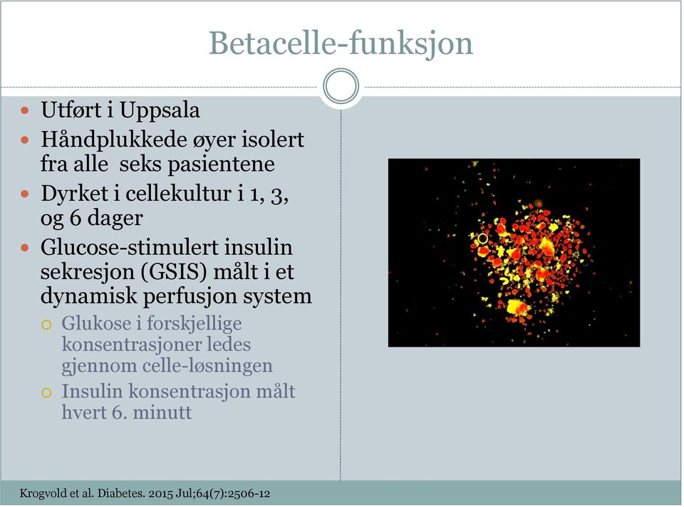 system Glukose i forskjellige konsentrasjoner ledes gjennom celle-løsningen Insulin