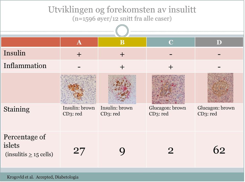 Insulin: brown CD3: red Glucagon: brown CD3: red Glucagon: brown CD3: red