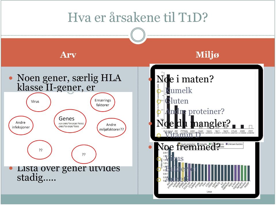 det humane arvematerialet har avslørt en rekke andre kandidat-gener som gir en lett økt