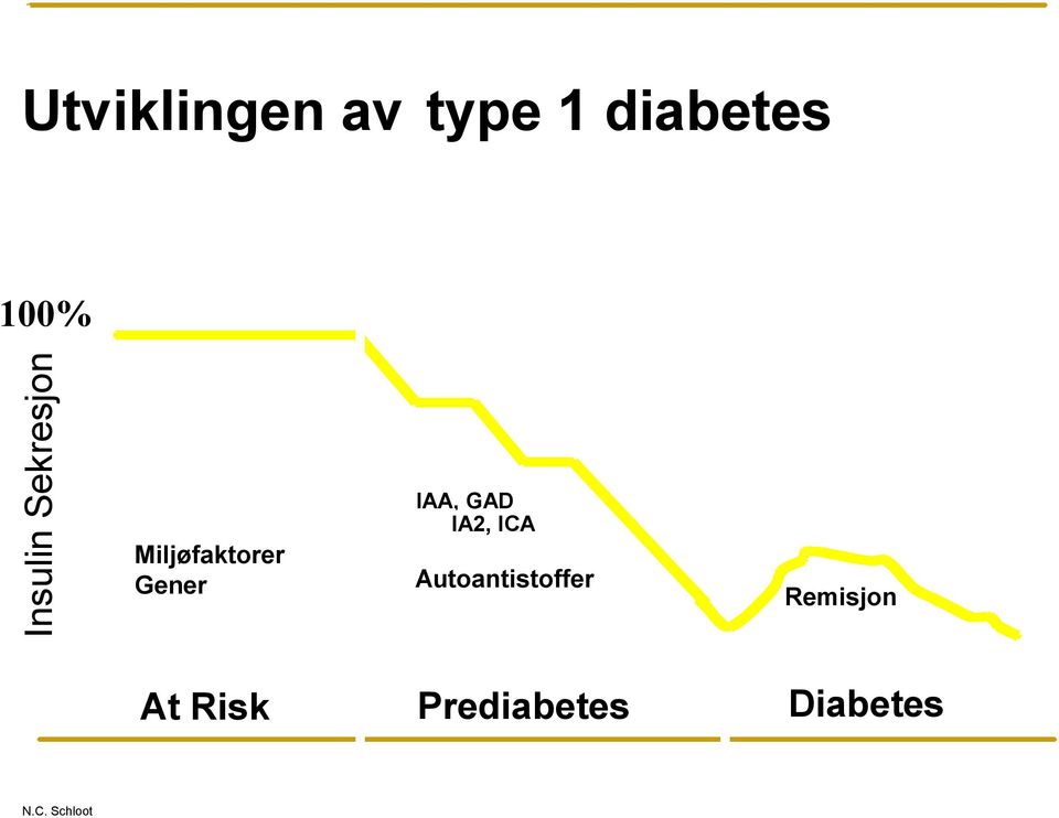 Gener IAA, GAD IA2, ICA Autoantistoffer Remission Remisjon