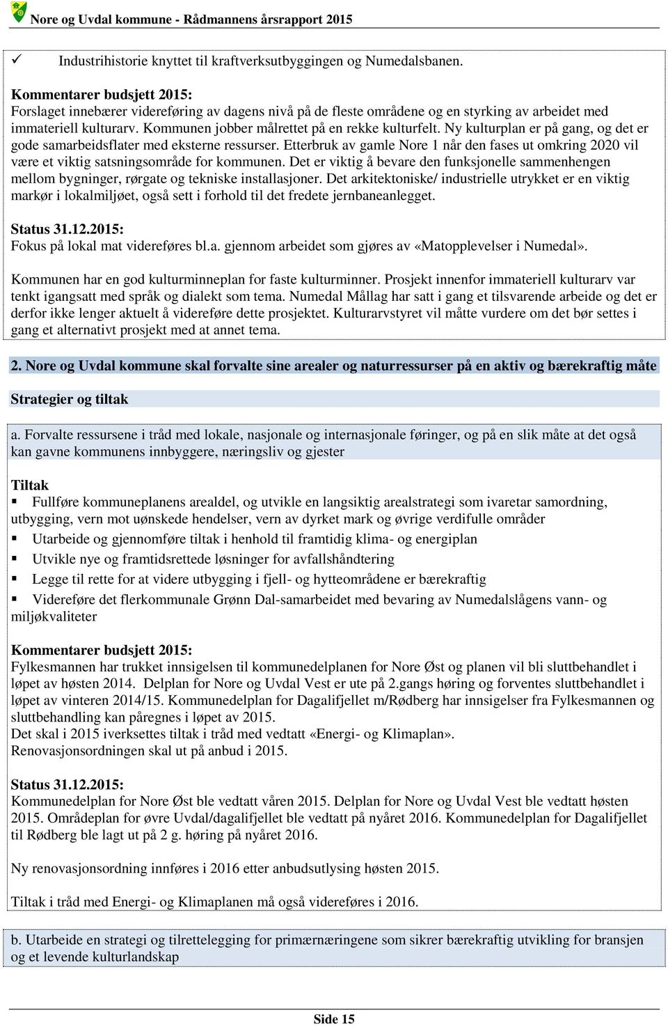 Ny kulturplan er på gang, og det er gode samarbeidsflater med eksterne ressurser. Etterbruk av gamle Nore 1 når den fases ut omkring 2020 vil være et viktig satsningsområde for kommunen.