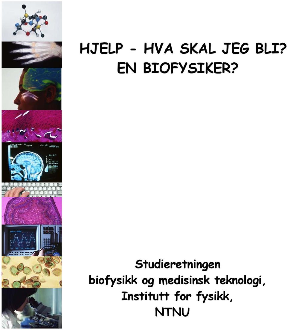 Studieretningen biofysikk og