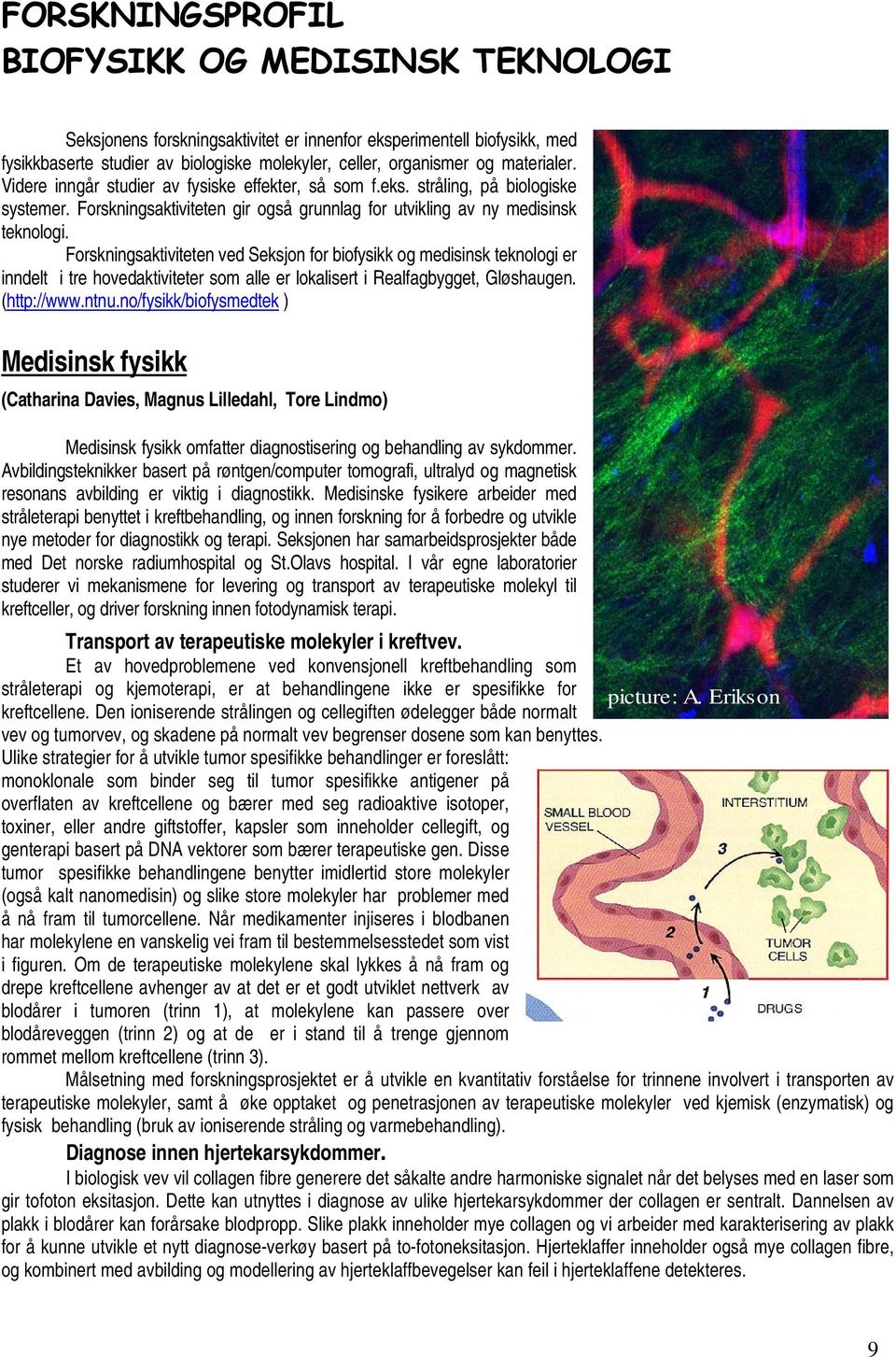 Forskningsaktiviteten ved Seksjon for biofysikk og medisinsk teknologi er inndelt i tre hovedaktiviteter som alle er lokalisert i Realfagbygget, Gløshaugen. (http://www.ntnu.