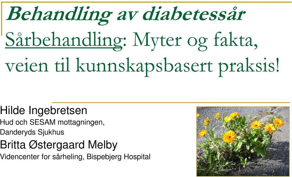 Hilde Ingebretsen Hud och SESAM mottagningen, Danderyds