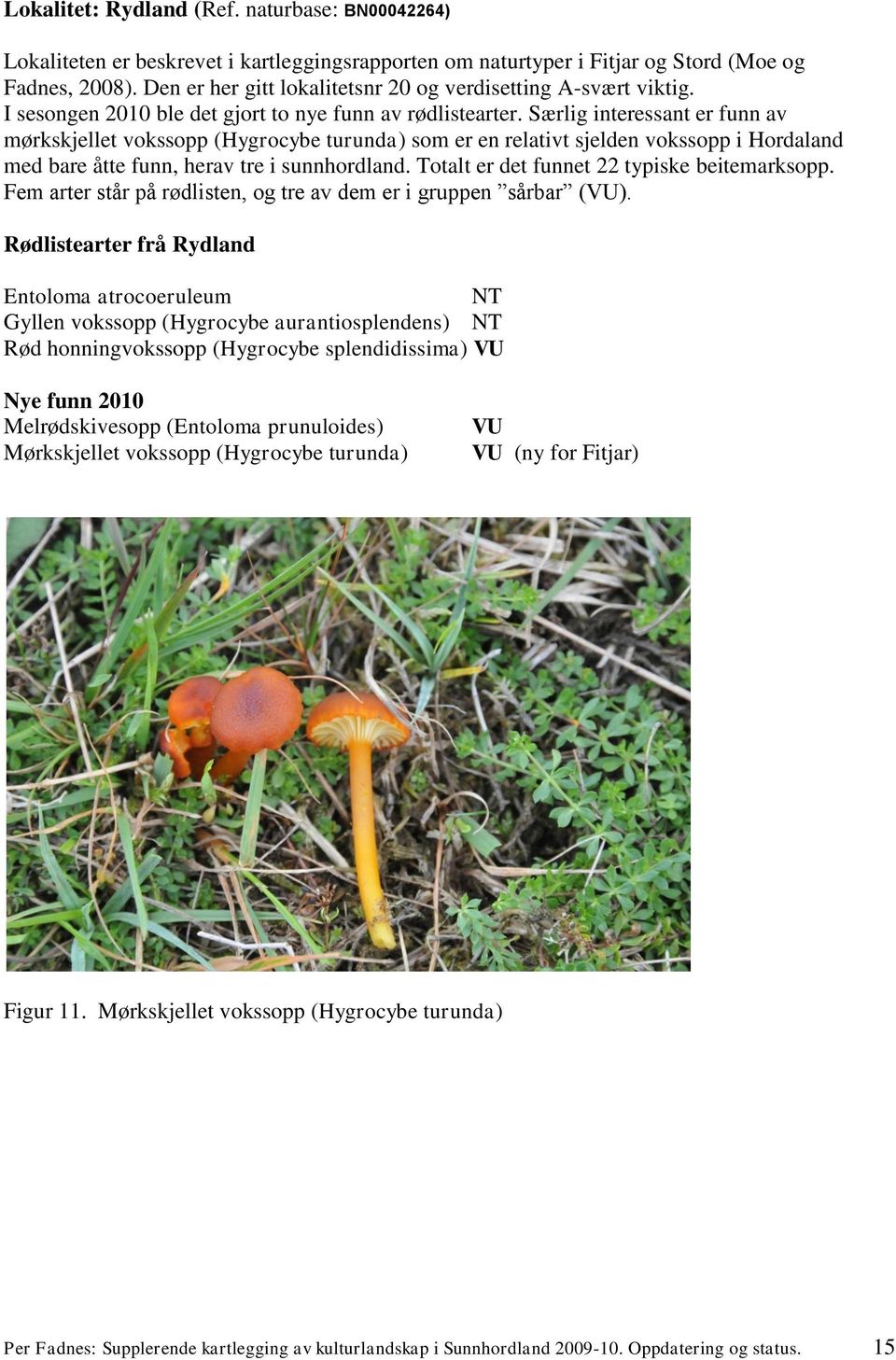 Særlig interessant er funn av mørkskjellet vokssopp ( turunda) som er en relativt sjelden vokssopp i Hordaland med bare åtte funn, herav tre i sunnhordland.