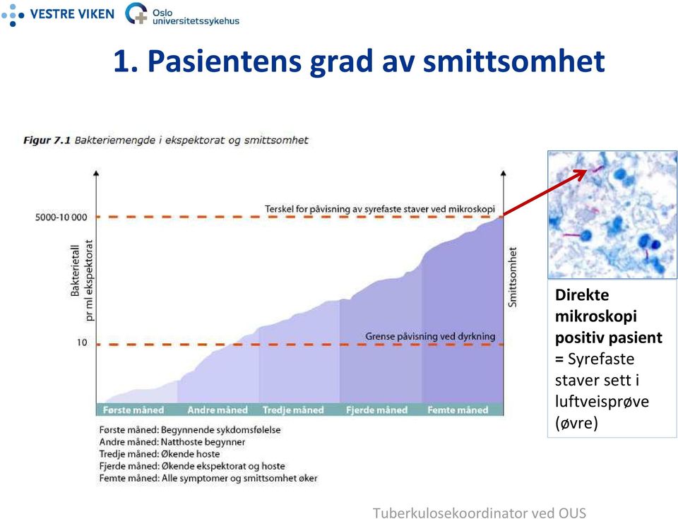 Syrefaste staver sett i