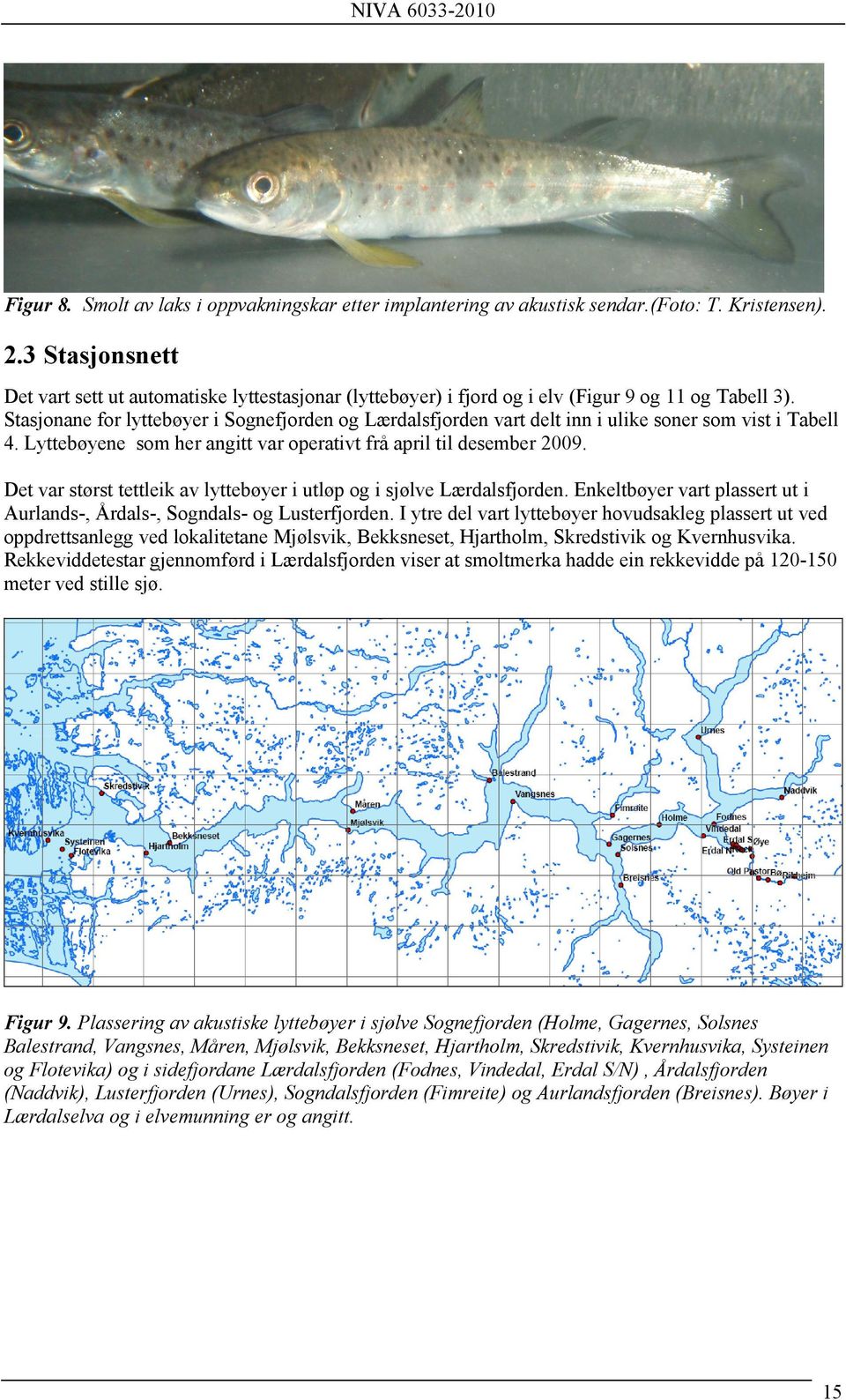 Stasjonane for lyttebøyer i Sognefjorden og Lærdalsfjorden vart delt inn i ulike soner som vist i Tabell 4. Lyttebøyene som her angitt var operativt frå april til desember 2009.