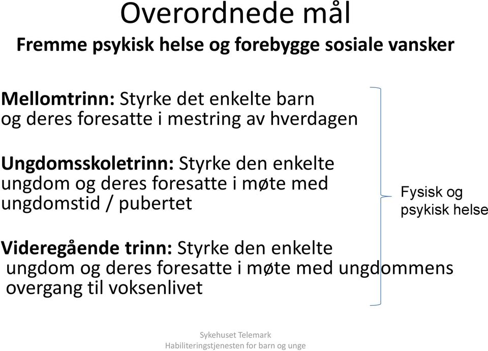 ungdom og deres foresatte i møte med ungdomstid / pubertet Fysisk og psykisk helse