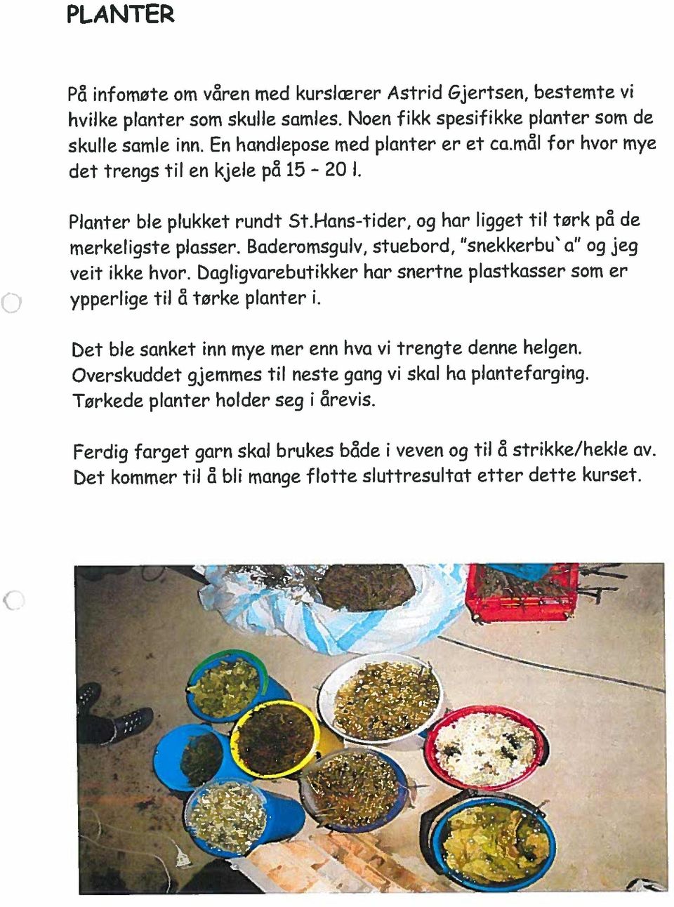 Noen fikk spesif ikke planter som de P infomøte om v&en med kurslcerer Astrid &jertsen, bestemte vi Overskuddet gjemmes til neste gang vi skal ha plantefarging. skulle samle inn.