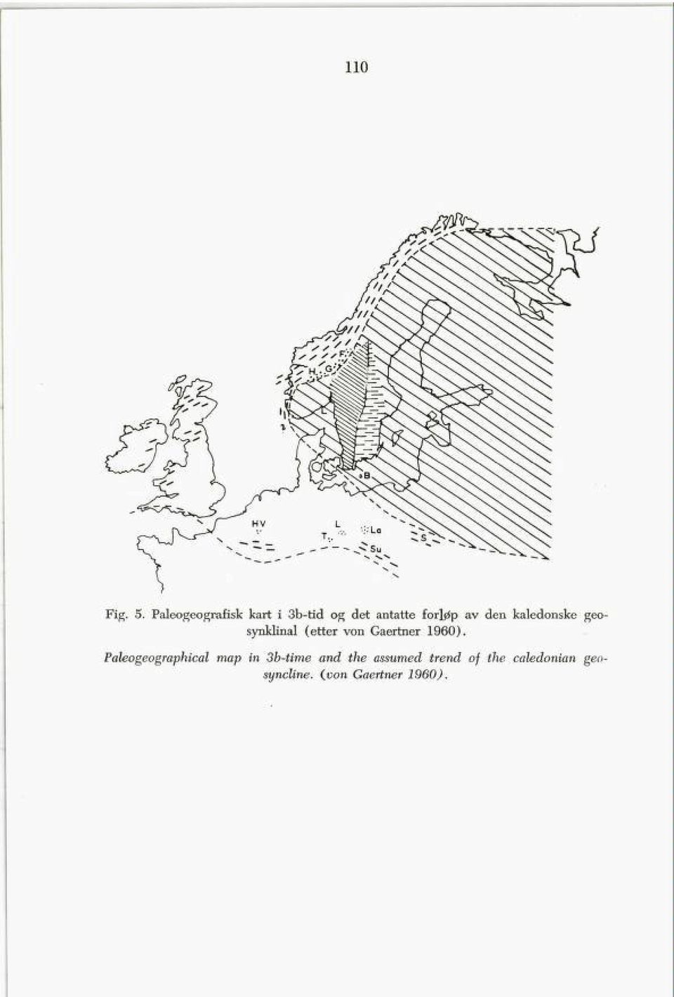 den kaledonske geo synklinal (etter von Gaertner 1960).