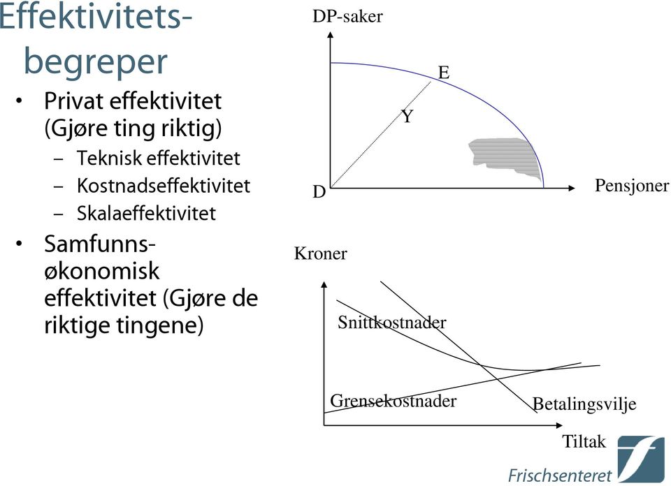 Samfunnsøkonomisk effektivitet (Gjøre de riktige tingene)