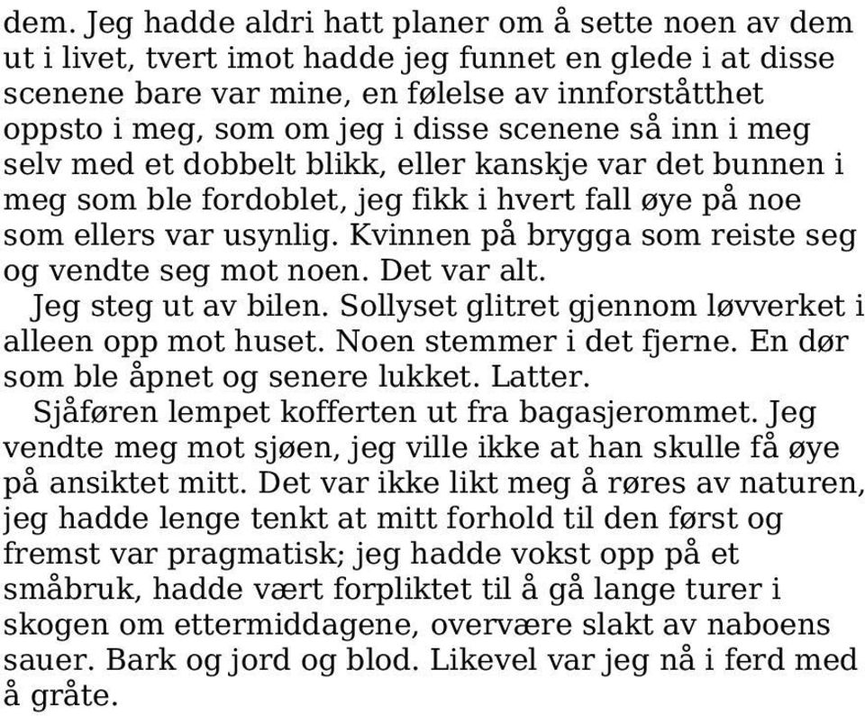 Kvinnen på brygga som reiste seg og vendte seg mot noen. Det var alt. Jeg steg ut av bilen. Sollyset glitret gjennom løvverket i alleen opp mot huset. Noen stemmer i det fjerne.